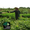 The Black Jaguar Foundation - Winner Small Image